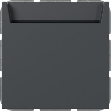 Hotel-card switch 10 A 250 V~ 1-pole NO contact with N terminal, anthracite