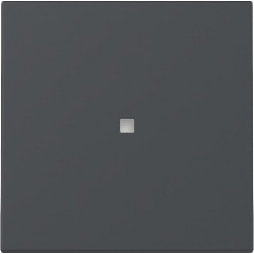 Rocker with control window, anthracite