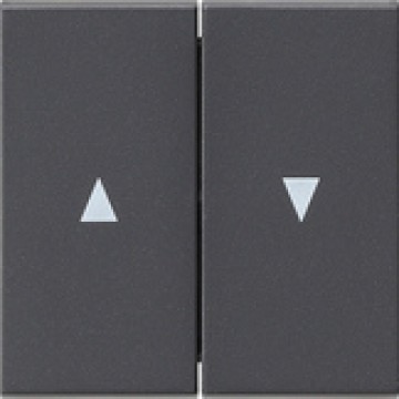 Rocker, 2-gang with arrow symbol, Anthracite (Art# 029428)