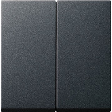 Rocker, 2-gang Anthracite (art# 029528)