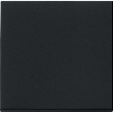 Rocker System 55 1gang cover plate black matt